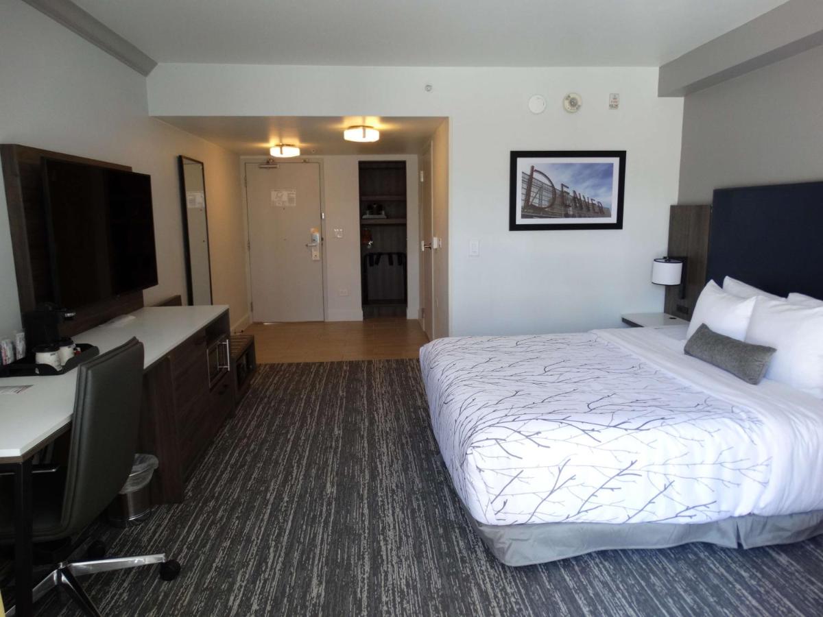 King Room with Walk-in Shower - Disability Access